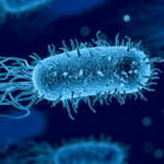 Surgimiento de superbacterias resistentes a medicamentos