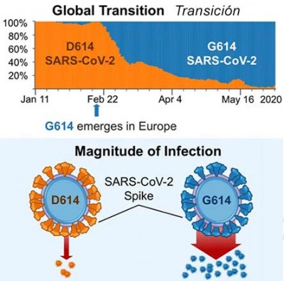 covid19-mutacion.jpg