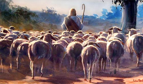 El buen pastor va delante de sus ovejas