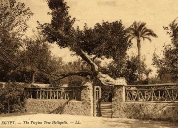 El árbol de la Virgen rodeado de un muro – Circa 1900