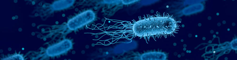 Superbacterias detectadas
