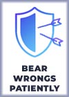 Bear wrongs alternative image